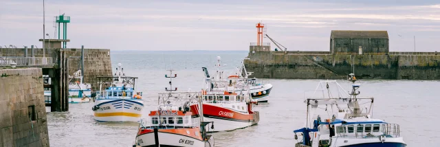 La Debarque Dans L Avant Port De Peche Credit Otgtm Cecile Ballon 36701 1920px