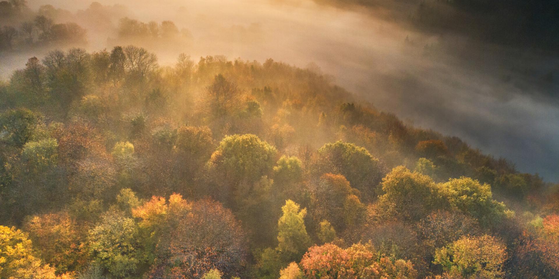 Sunrise over the Lucerne forest