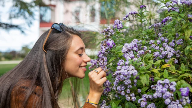 Une femme sent le parfum des fleurs dans le jardin du musée Christian Dior à Granville