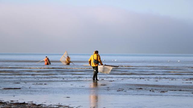 Fishing On Foot During High Tides