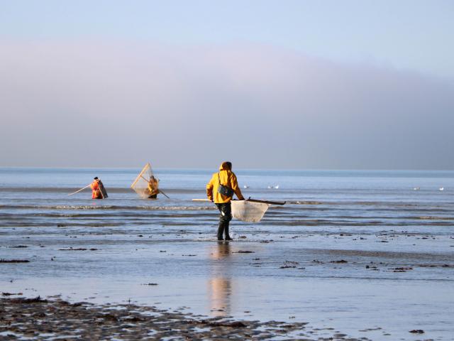 Fishing On Foot During High Tides