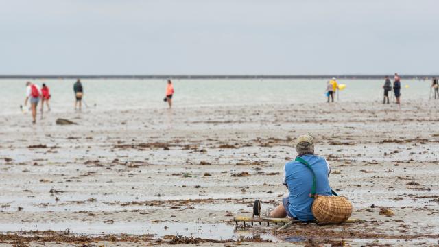 Peche A Pied Lors Des Grandes Marees