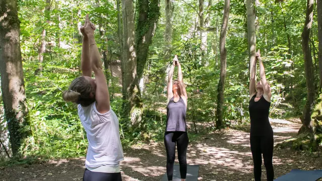 Yoga In The Valley Of The Painters