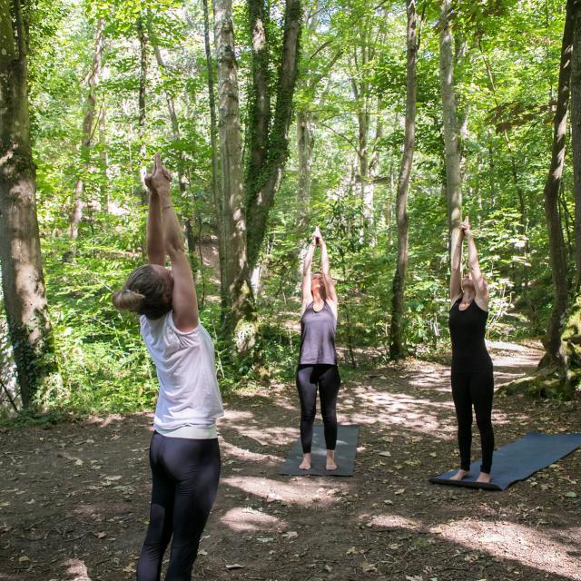 Yoga In The Valley Of The Painters
