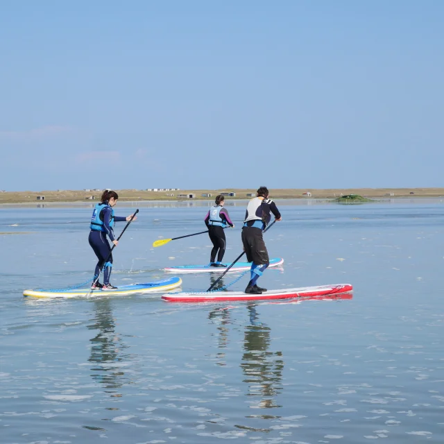 Stand Up Paddle in La Vanlée harbour