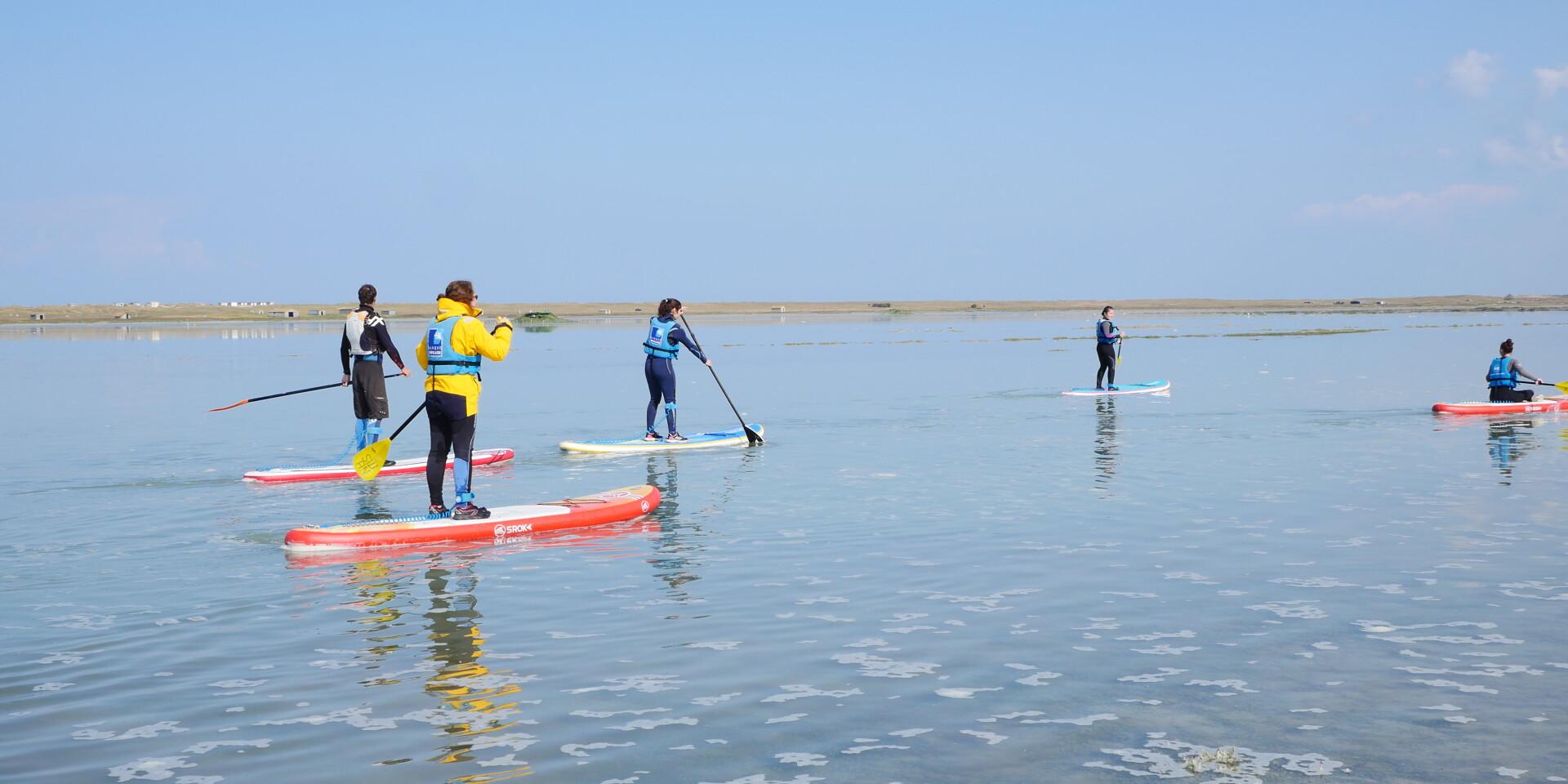 Stand Up Paddle in La Vanlée harbour