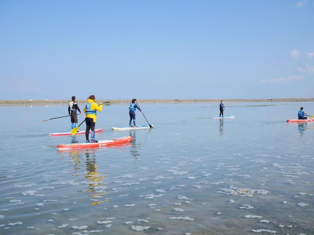Stand Up Paddle in La Vanlée harbour