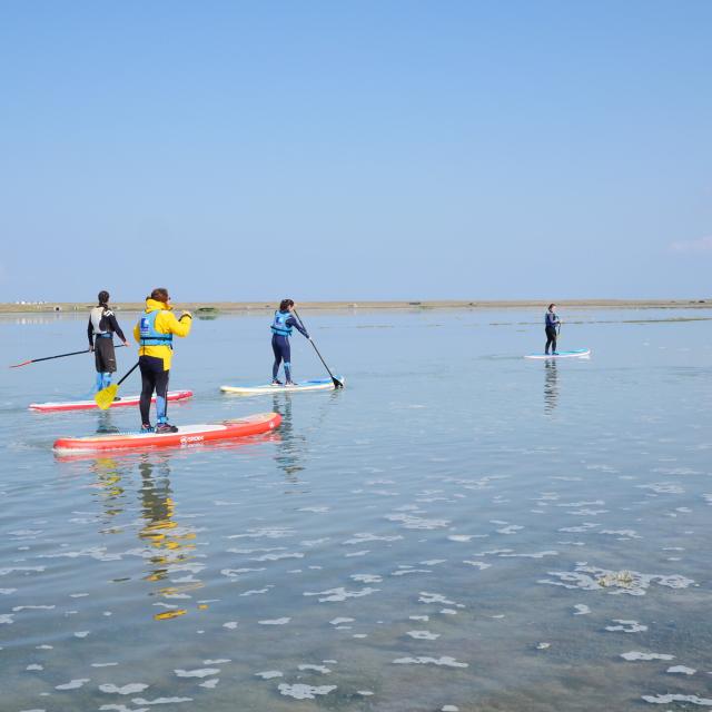 Stand Up Paddle in La Vanlée harbour