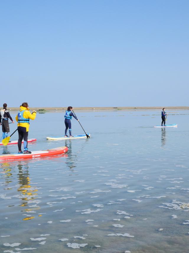 Stand Up Paddle in La Vanlée harbour