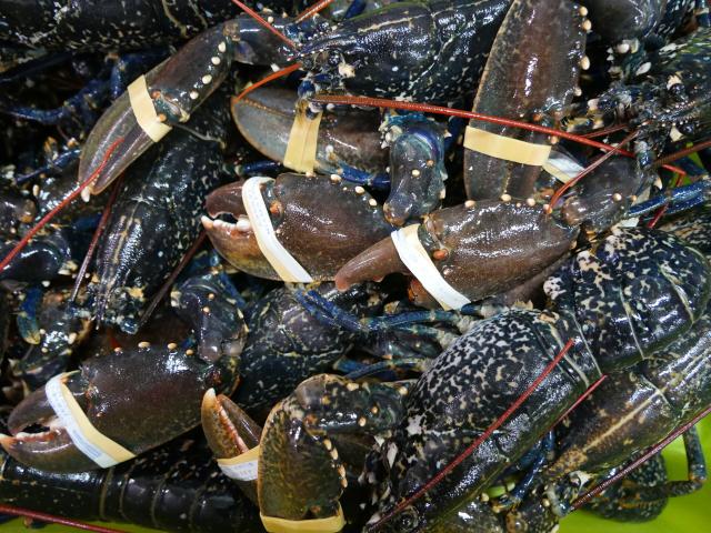 Le Homard