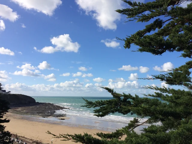 Vue Des Falaises De Donville Les Bains Claire Gautier