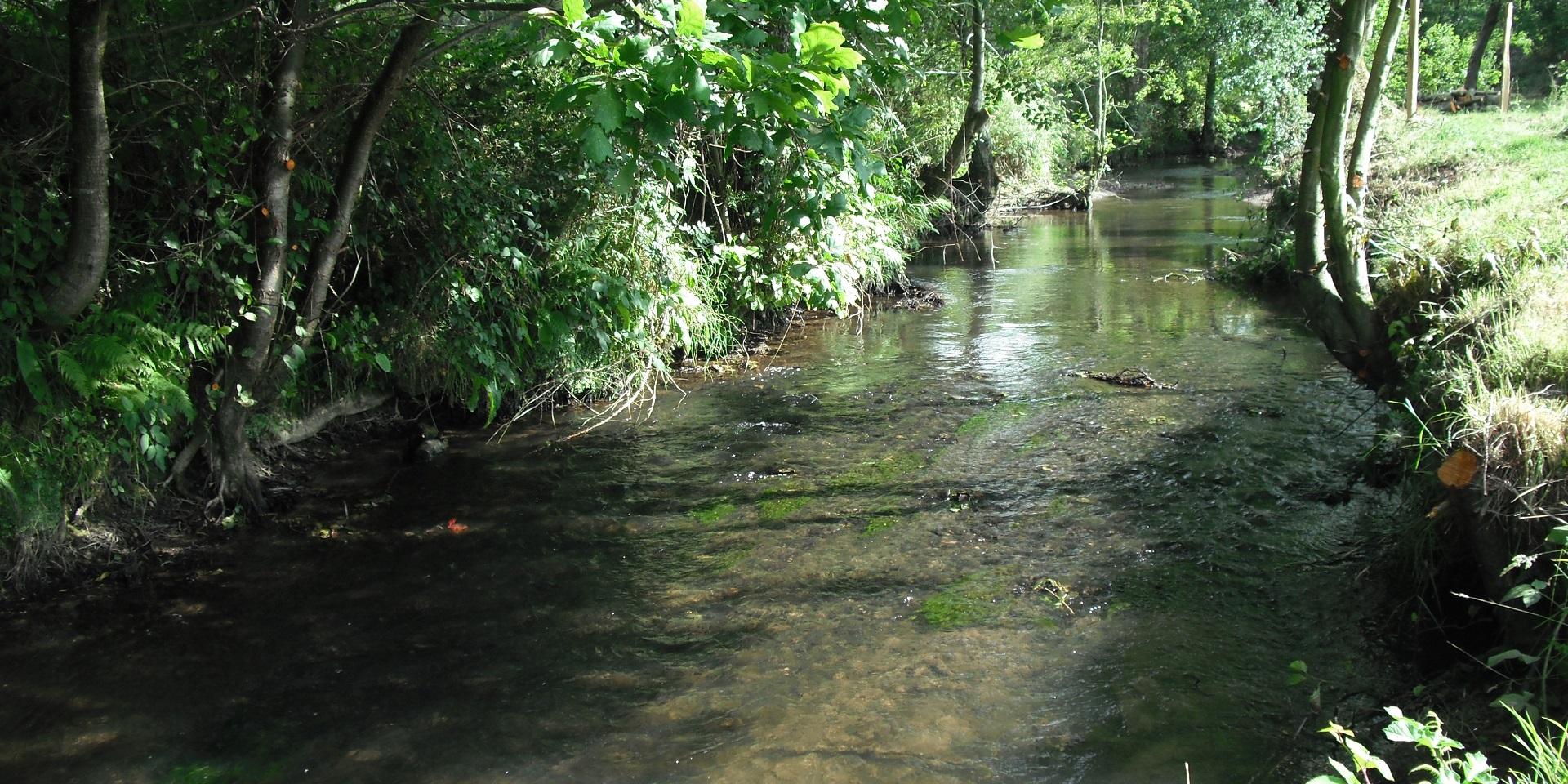 The main tributary of the Sienne, the Airou winds its way for over 35km through the hard rock of a sinuous, steep-sided valley.