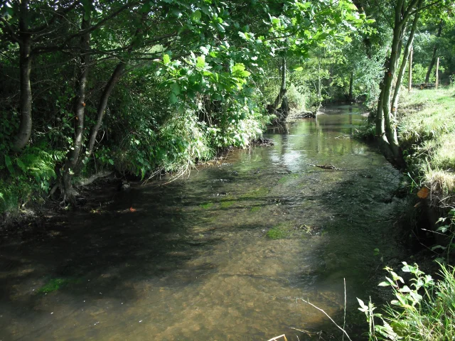 Der Airou, der wichtigste Nebenfluss der Sienne, schlängelt sich über 35 km durch die harten Felsen eines gewundenen und tief eingeschnittenen Tals.