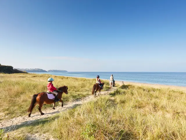Randonneurs à cheval sur la plage