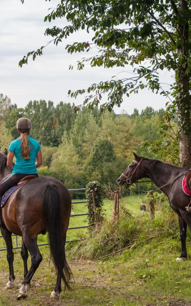 Randonneurs à cheval dans le bocage