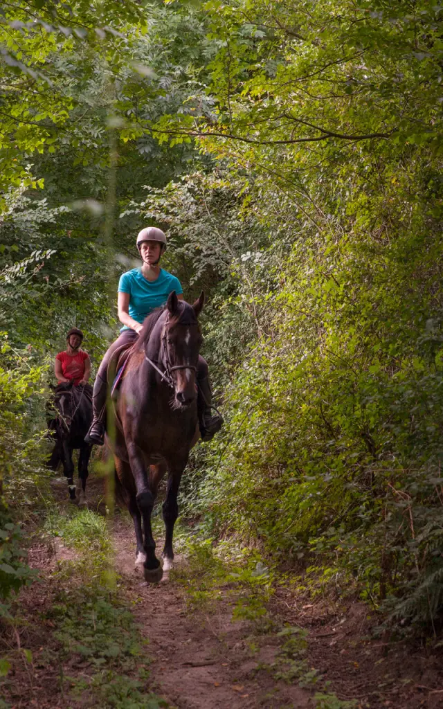 Randonneurs à cheval dans le bocage