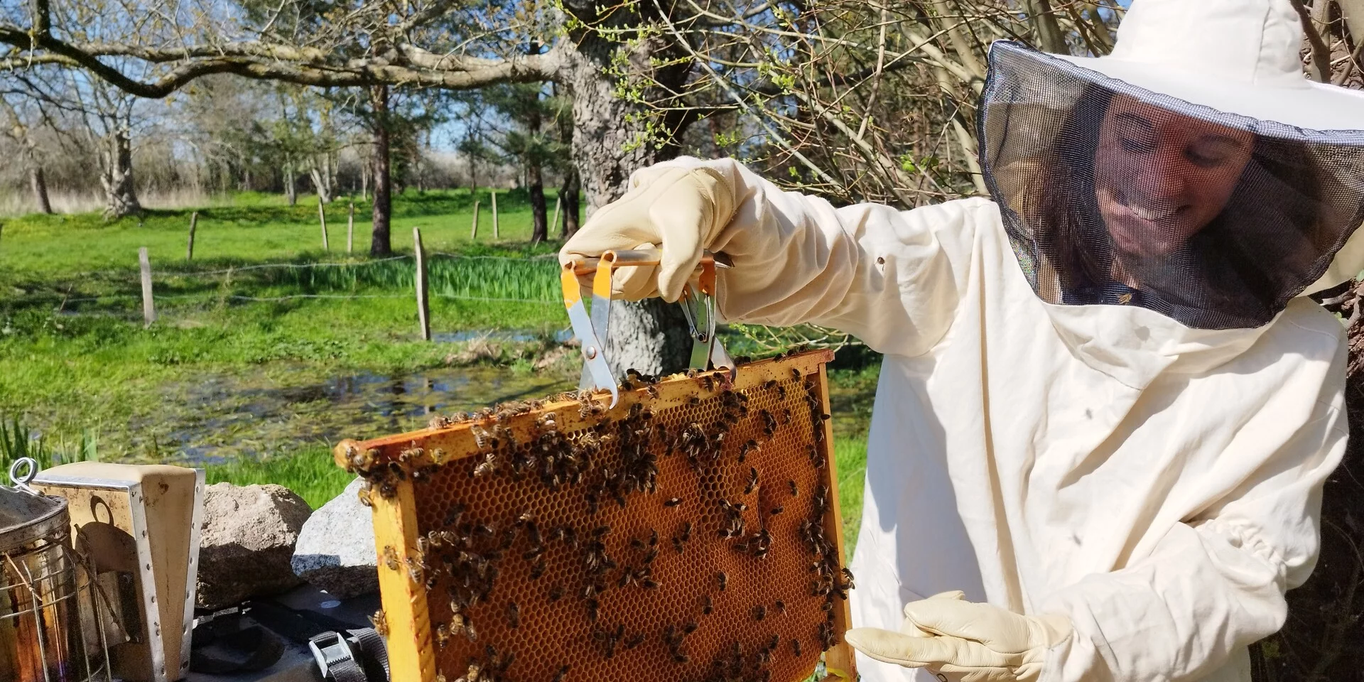 Bienenzucht Die Bienenstöcke Von Jacky Lebon Credit Otgtm Jacky Lebon 36914 1920px