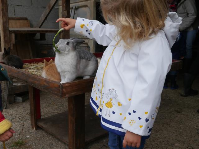 Decouverte Des Lapins A La Ferme De La Chevre Rit Pendant La Ferme En Folie Credit Otgtm Estelle Cohier 13605 1920px 1