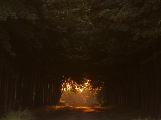 LE LOGIS D'ÉQUILLY. LES PROPRIÉTAIRES SONT M ET MME HULINE. EQUILLY, NORMANDIE FRANCE. SEPTEMBRE 2016.