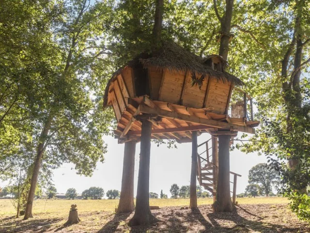 La cabane Butterfly, une nuit dans les arbres, petit-déjeuner livré au pied de l’arbre - week end atypique cabane dans les arbres