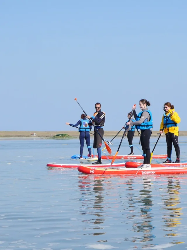 Session de Stand Up Paddle dans le havre de la Vanlée