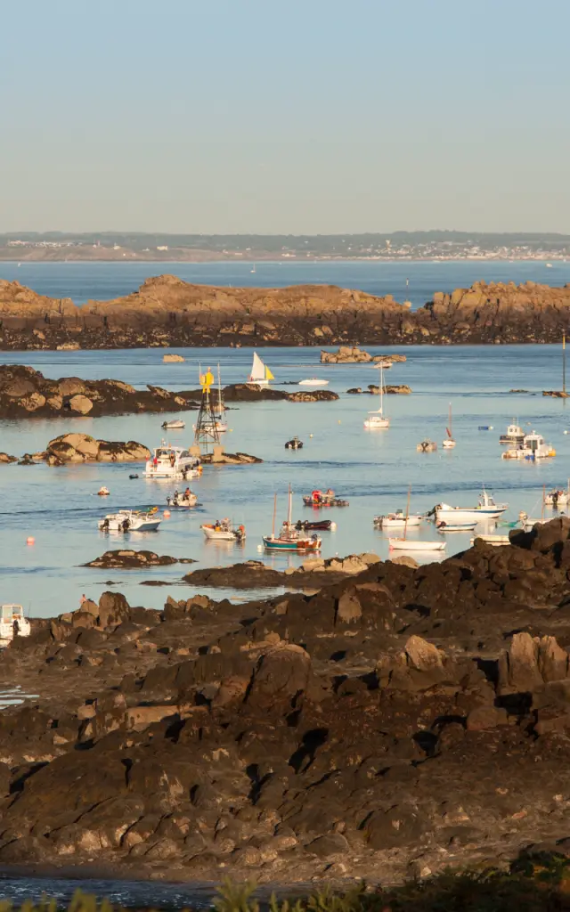 L'ARCHIPEL DES ÎLES CHAUSEY AU LARGE DE GRANVILLE EN ÉTÉ. LE SOUND, LES PLAGES DE PORT MARIE, PORT HOMARD ET GRANDE GRÈVE. CHAUSEY, NORMANDIE, FRANCE, AOUT 2016.