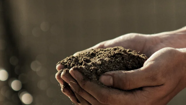 Compost 2