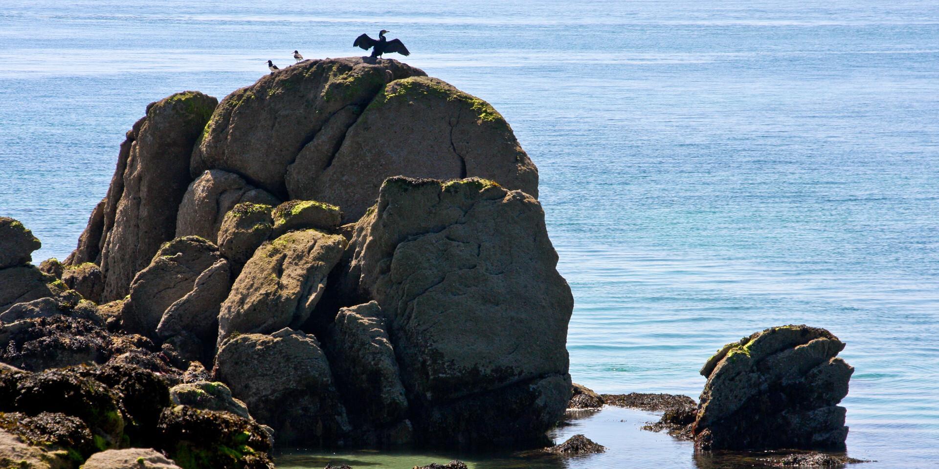 Chausey Credit Otgtm Estelle Cohier 2567 1920px