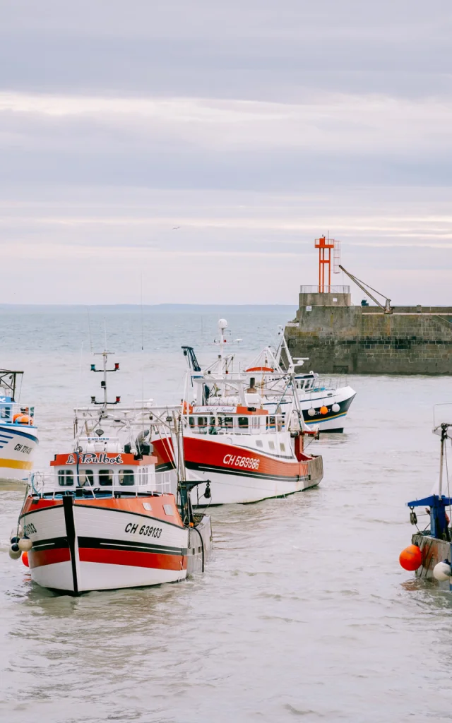 Débarque des bateaux de pêche dans le port de Granville