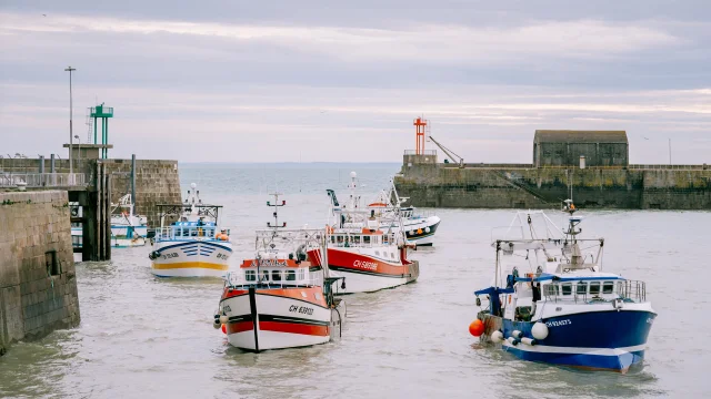 La Debarque Dans L Avant Port De Peche Credit Otgtm Cecile Ballon 36701 1920px