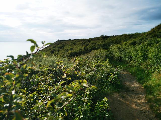 La Vallee Du Lude Credit Otgtm Estelle Cohier 34992 1920px