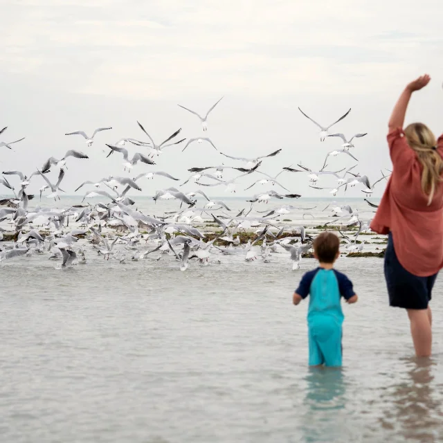 Margaux Coyette Birds