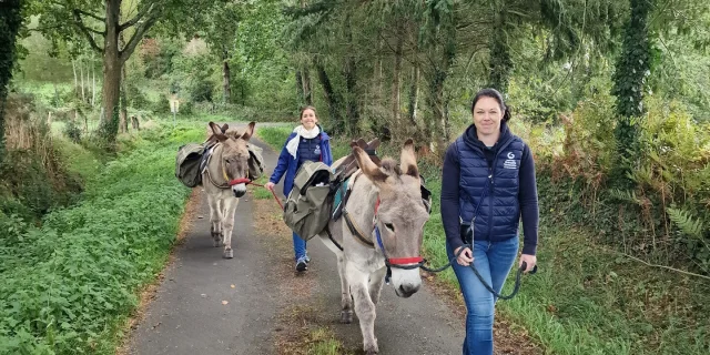 Balade avec les ânes du Domaine d'Esthine