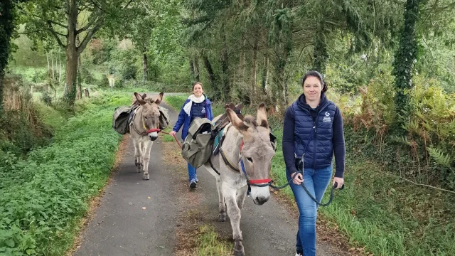 Balade avec les ânes du Domaine d'Esthine
