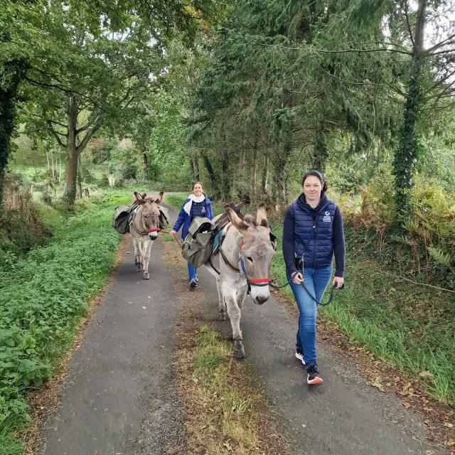 Spaziergang Mit Den Eseln Von Domaine D Esthine Credit Otgtm Estelle Cohier 37418 1920px