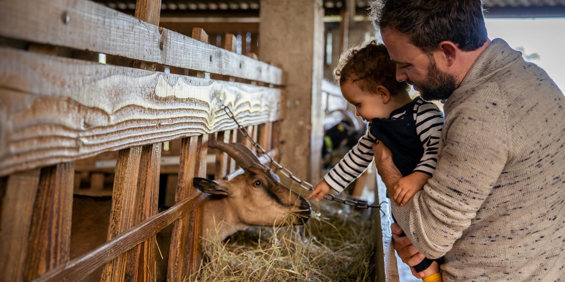 Le Marche A La Ferme De La Chevre Rit Credit Otgtm Cecile Ballon 36688 1920px