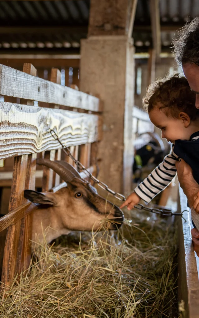 Le Marche A La Ferme De La Chevre Rit Credit Otgtm Cecile Ballon 36688 1920px