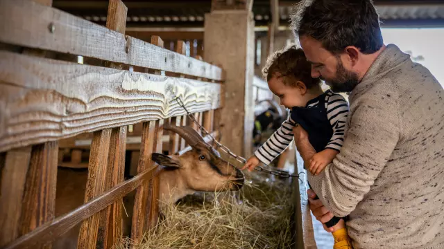 Le Marche A La Ferme De La Chevre Rit Credit Otgtm Cecile Ballon 36688 1920px