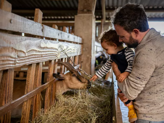 Le Marche A La Ferme De La Chevre Rit Credit Otgtm Cecile Ballon 36688 1920px