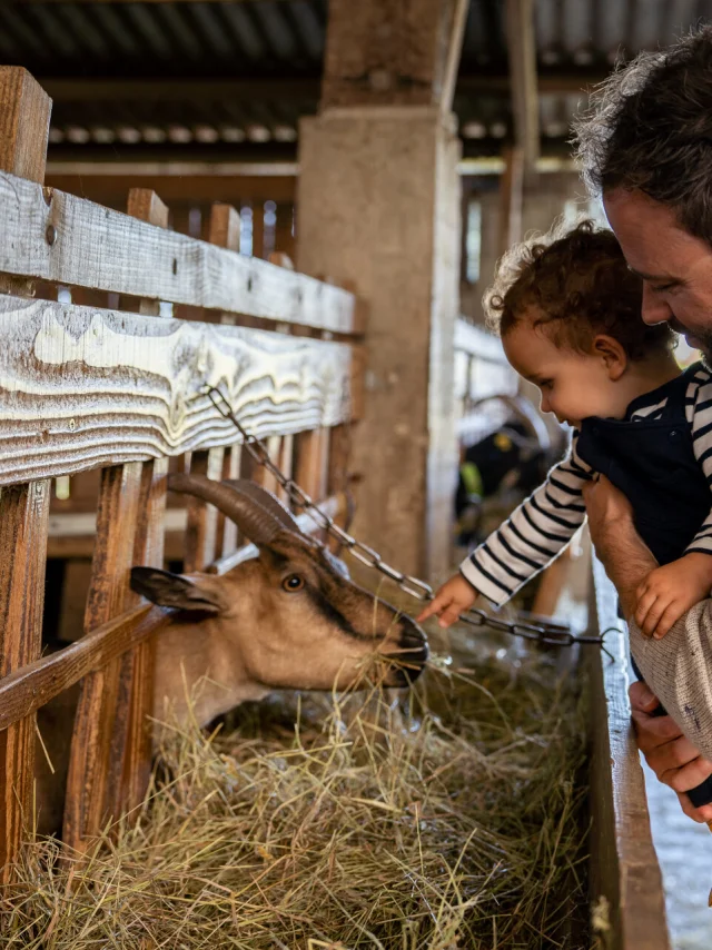Le Marche A La Ferme De La Chevre Rit Credit Otgtm Cecile Ballon 36688 1920px
