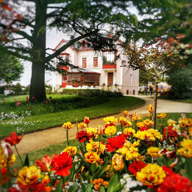 Fleurs du jardin du musée Christian Dior à Granville