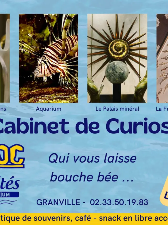 Ein Kuriositätenkabinett - 1