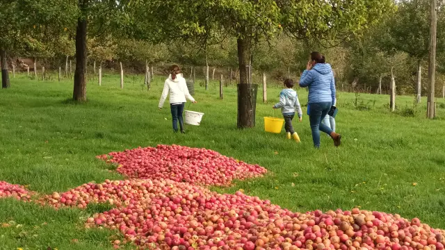 Cidricole Farm Domaine Le Girard Coudeville Sur Mer