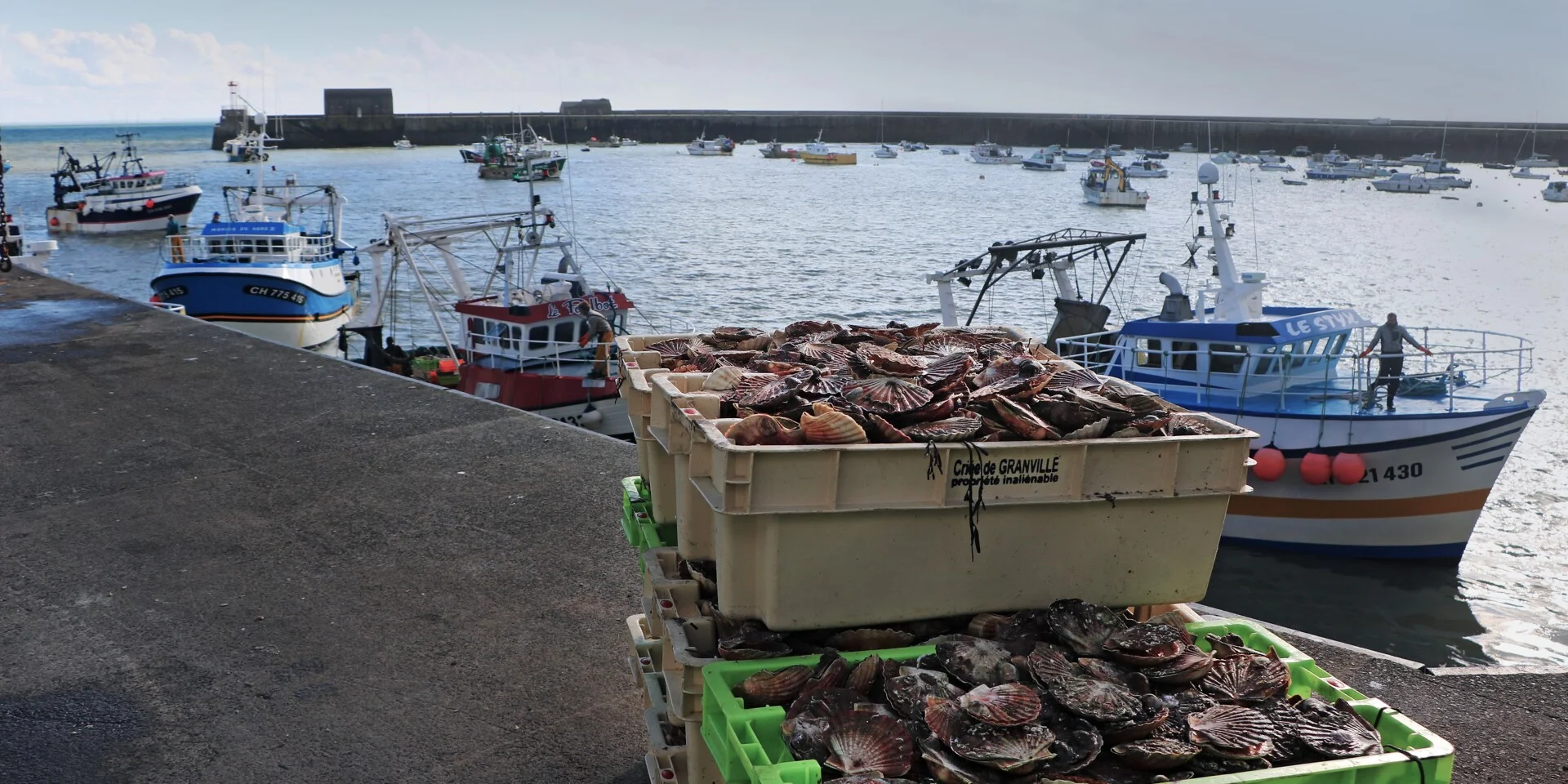 La Debarque Dans L'Avant Port De Peche Credit Otgtm Marie Claude Vergne 36058 1920px