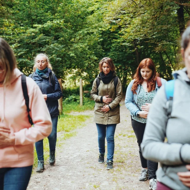 Expérience Sophro'Balade au cœur de la forêt de La Lucerne