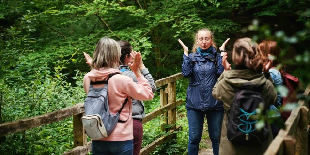 Expérience Sophro'Balade au cœur de la forêt de La Lucerne