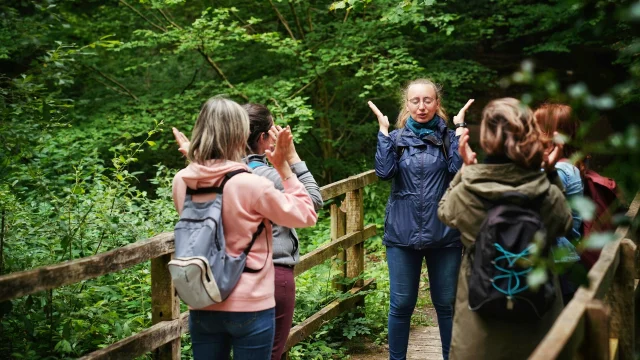 Expérience Sophro'Balade au cœur de la forêt de La Lucerne