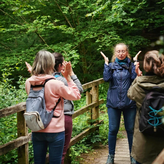 Expérience Sophro'Balade au cœur de la forêt de La Lucerne