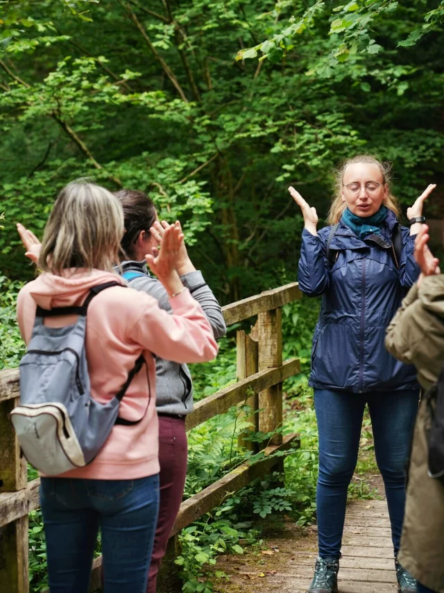 Expérience Sophro'Balade au cœur de la forêt de La Lucerne