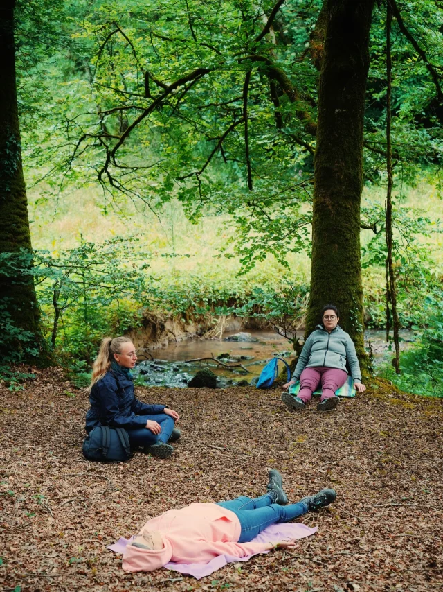 Expérience Sophro'Balade au cœur de la forêt de La Lucerne